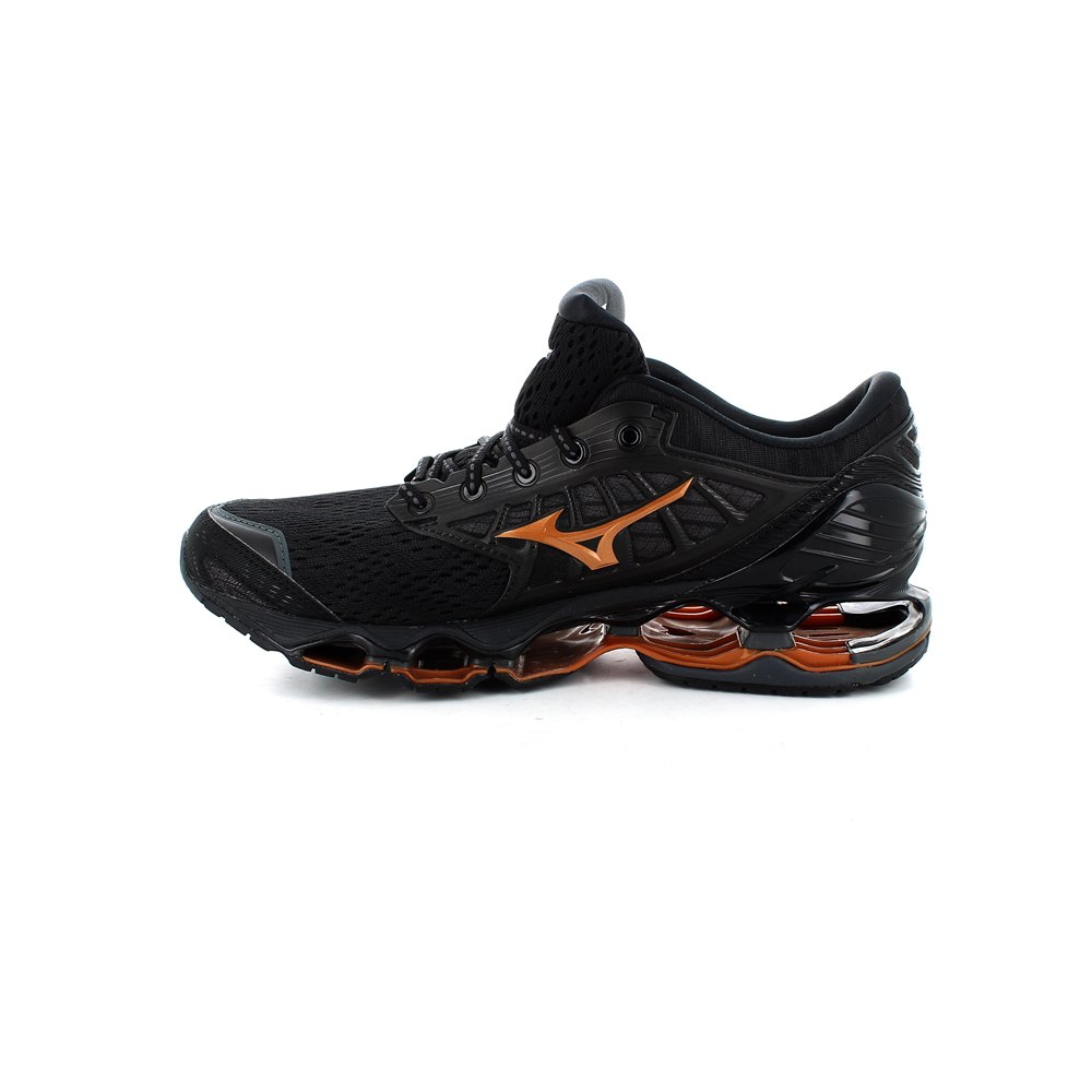 mizuno wave prophecy