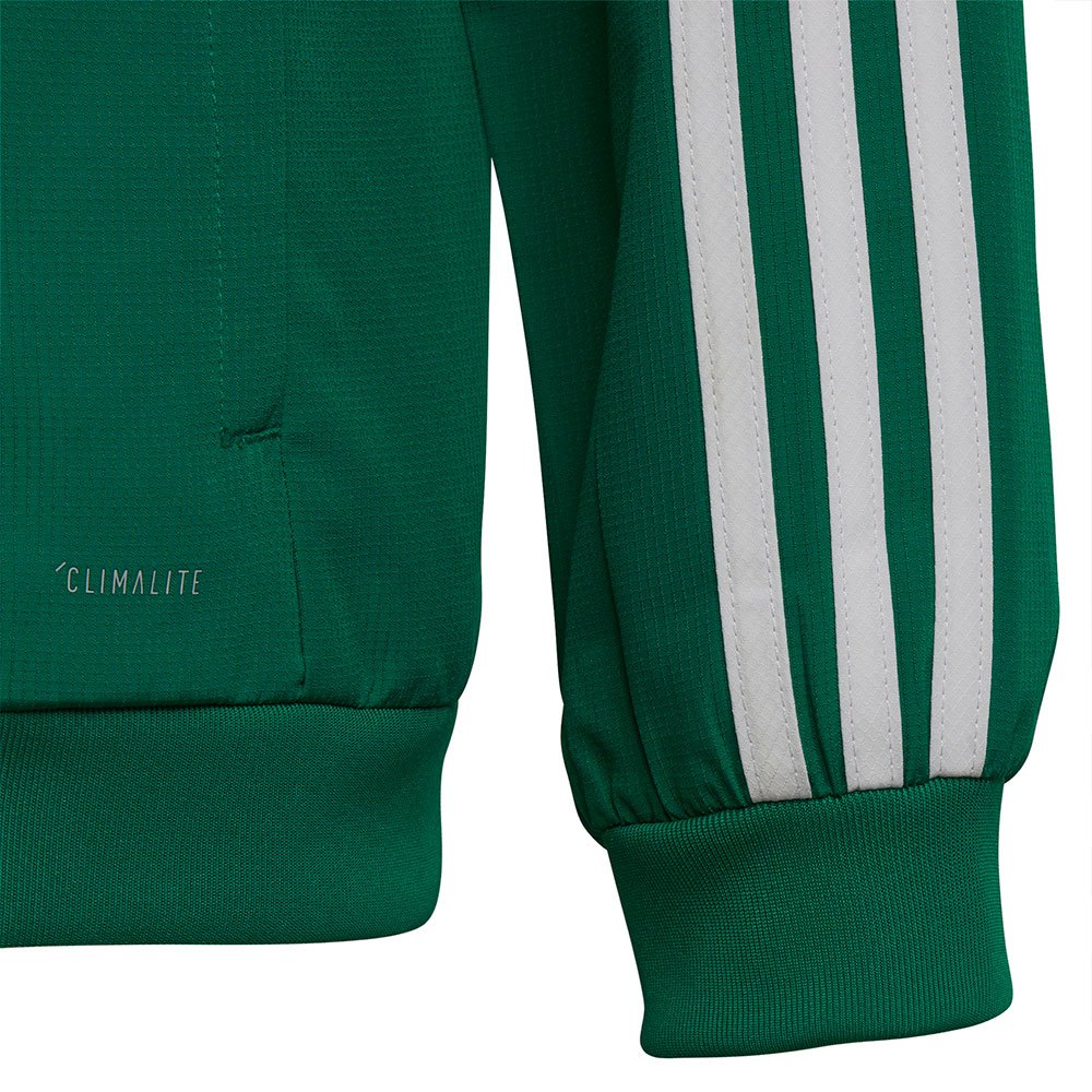 tuta adidas verde uomo