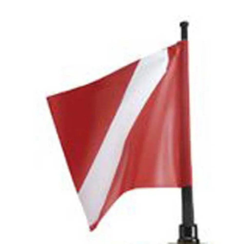 135514_2.webp
