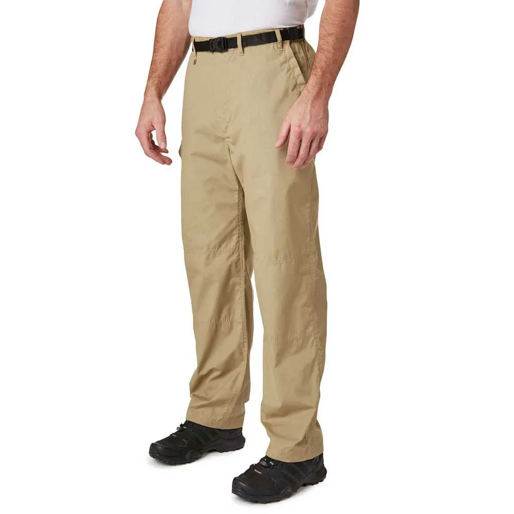 137679579_2.webp