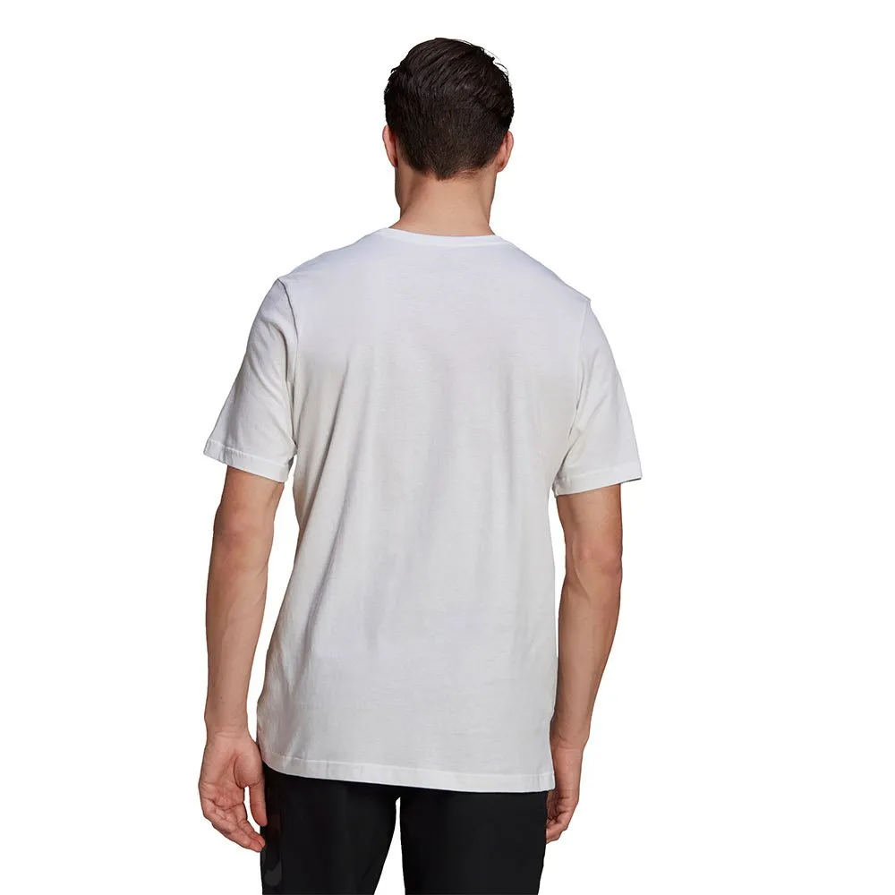 137926756_2.webp