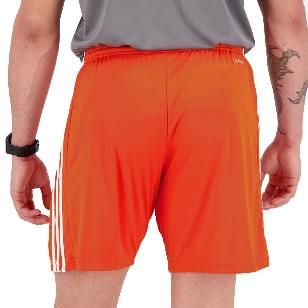 137958193_2.webp