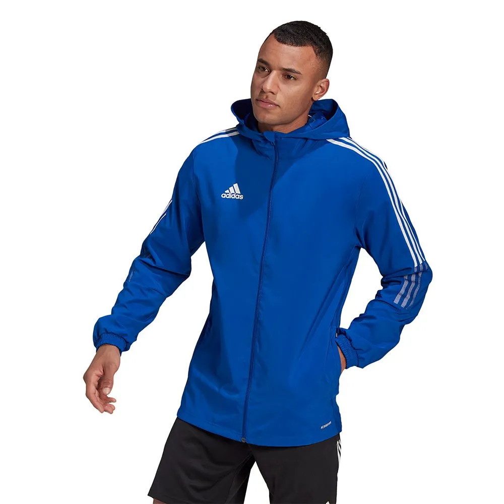 137966711_2.webp
