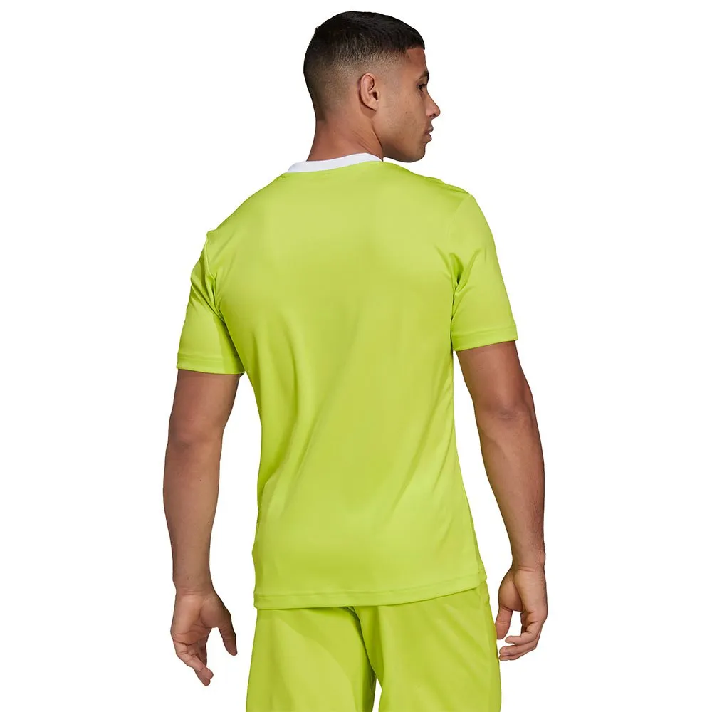 138425836_3.webp