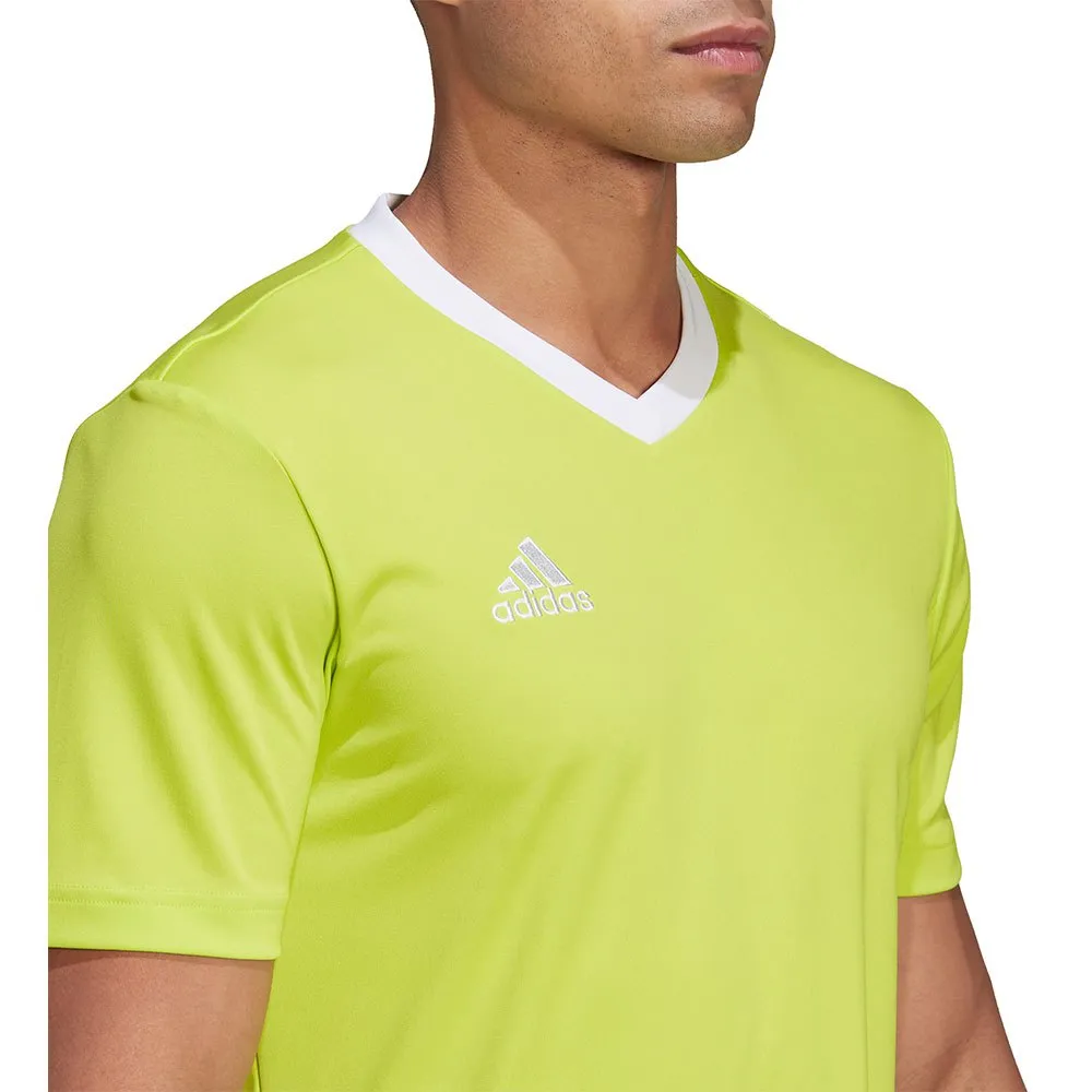 138425836_4.webp