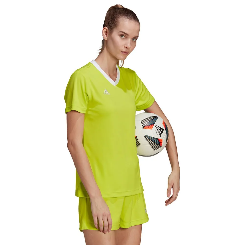 138425837_5.webp