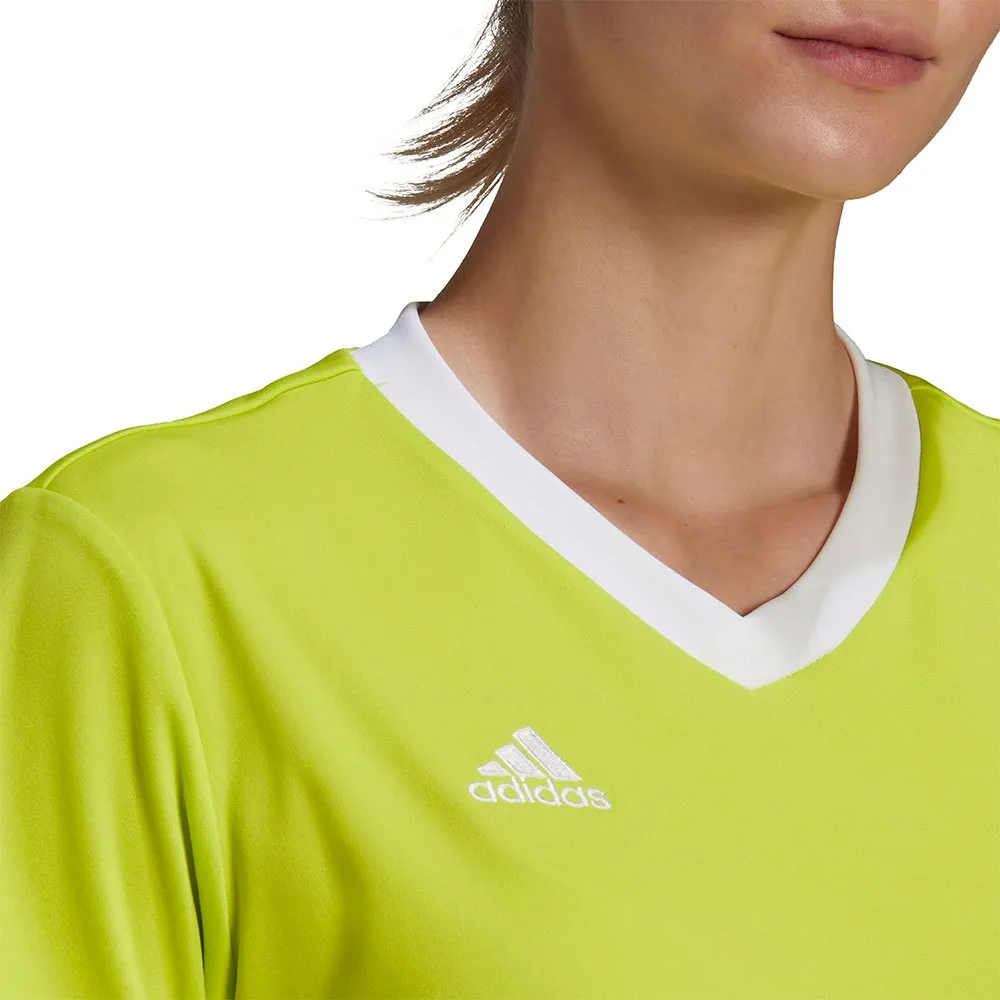138425837_7.webp