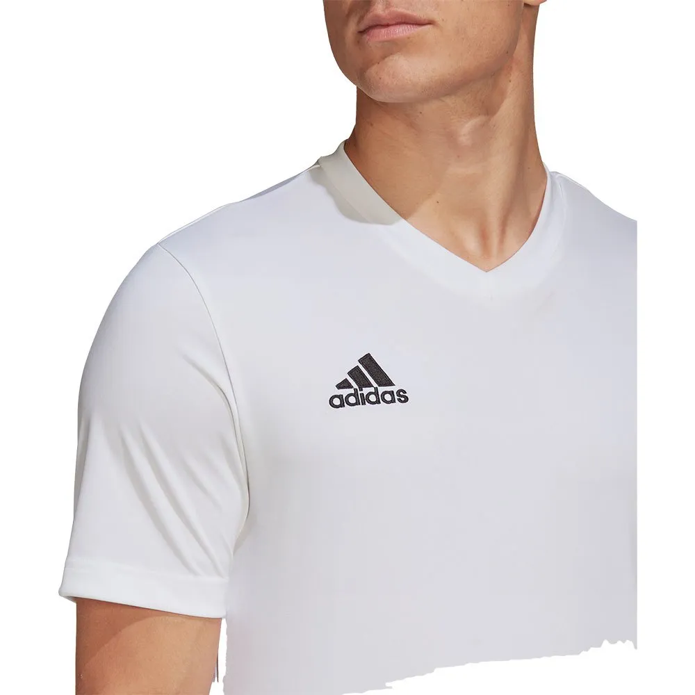 138425842_4.webp