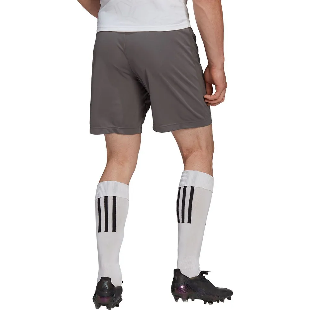 138425853_2.webp