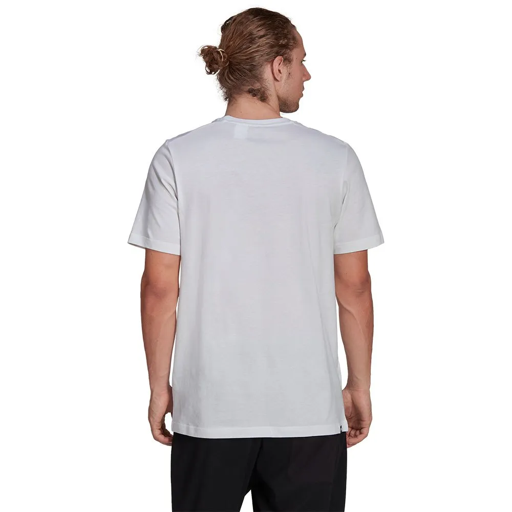 138429697_2.webp