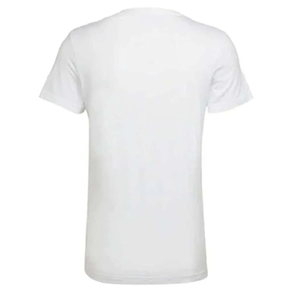 138936007_4.webp