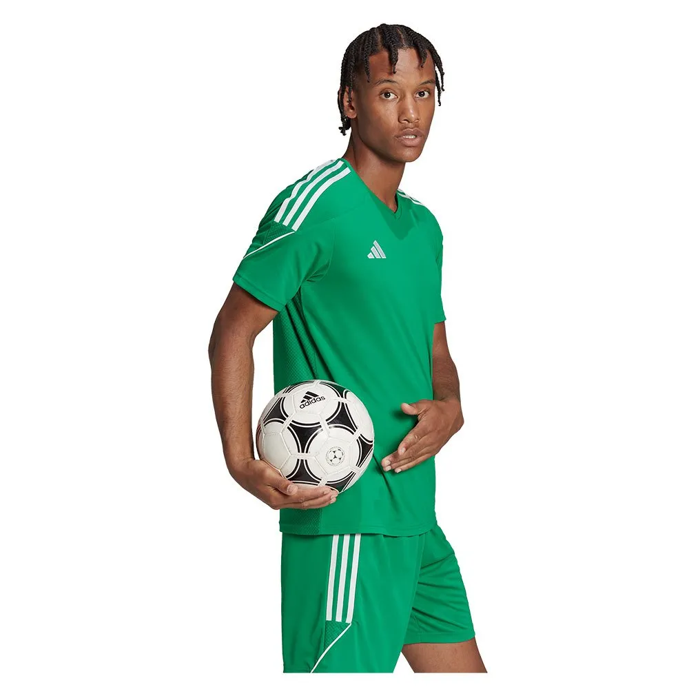 139436828_5.webp