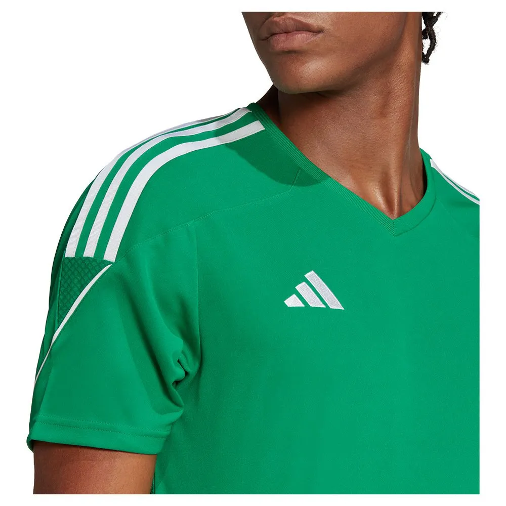 139436828_6.webp
