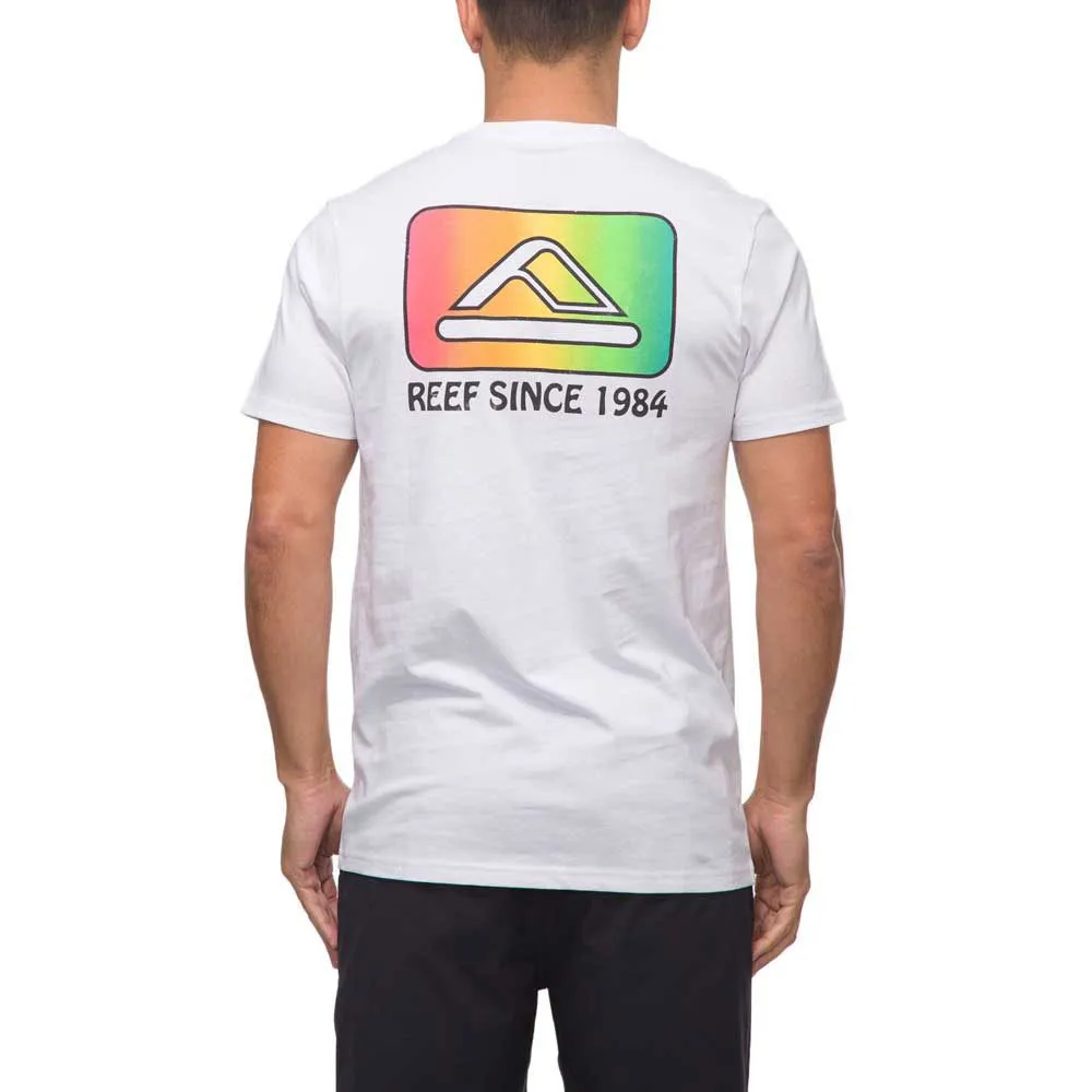 139499869_2.webp