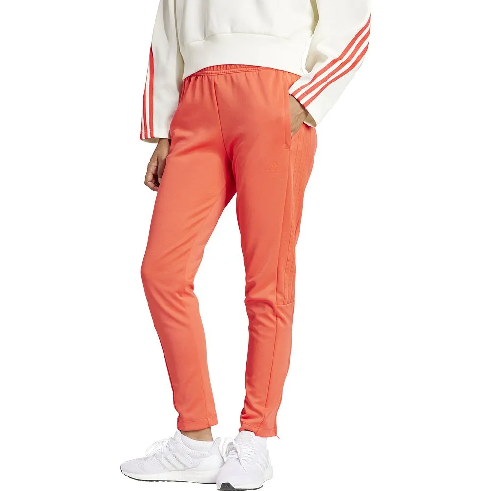140445156.webp