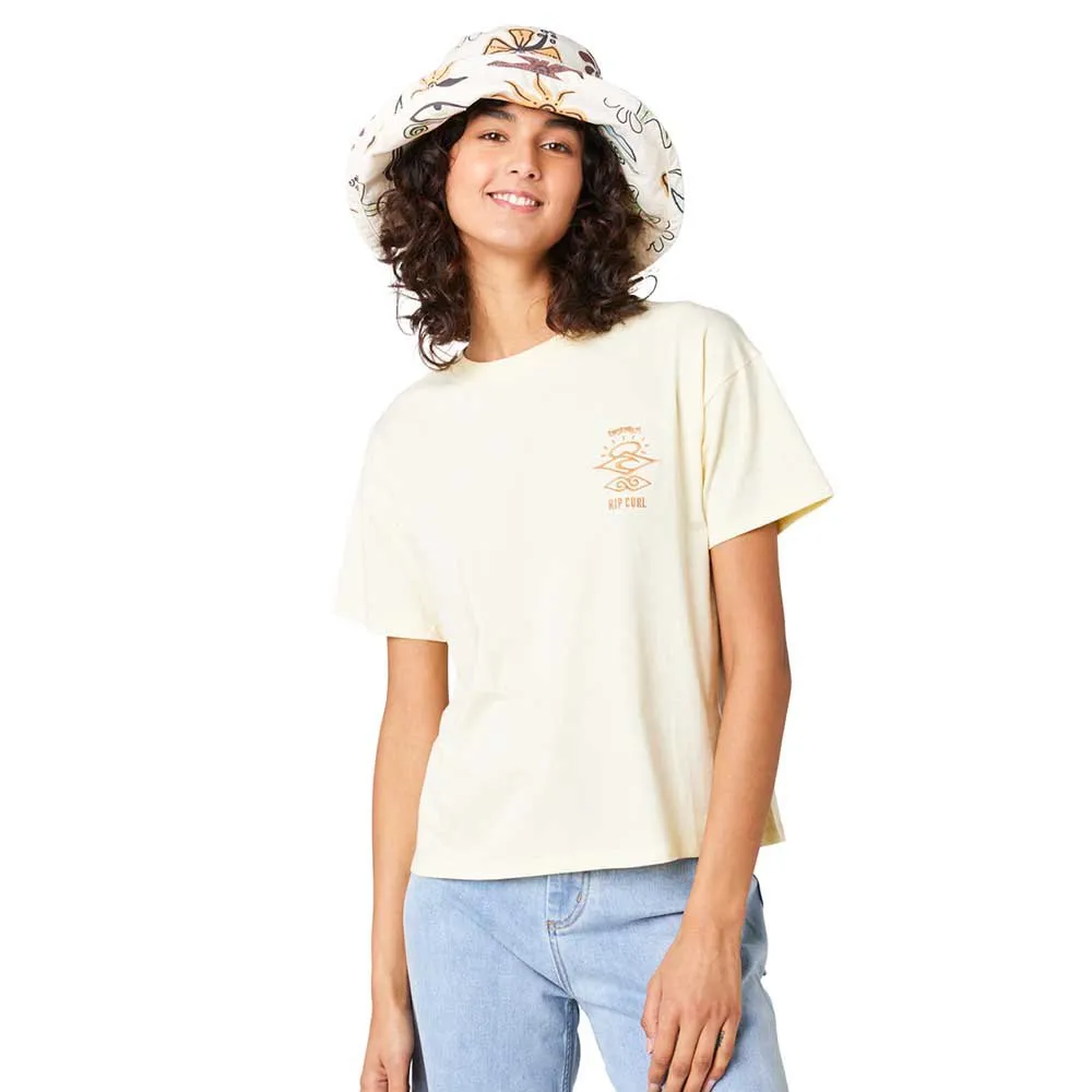 140648385.webp