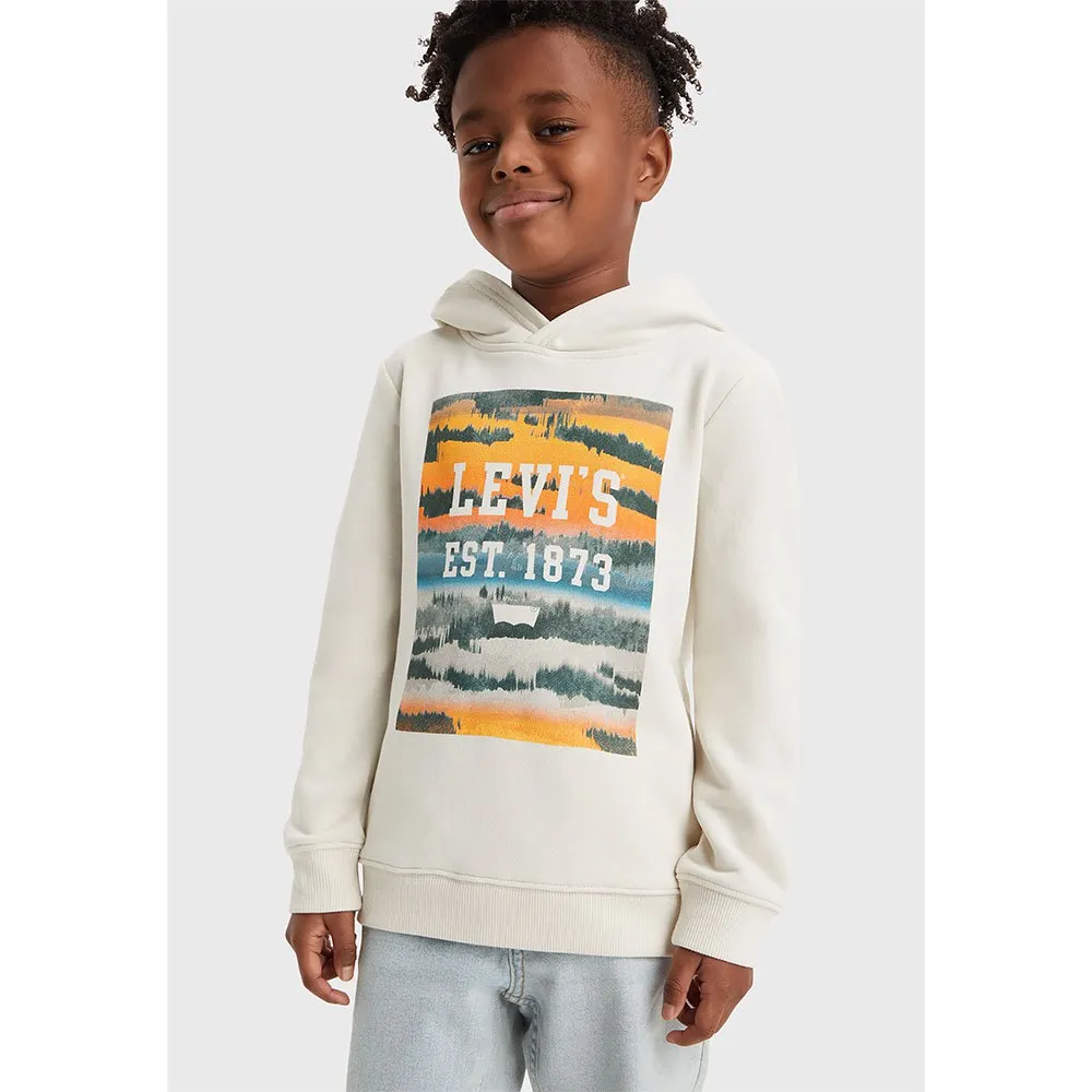 Levi's Landscape Box Tröja Med Huva, Birch, 6Y