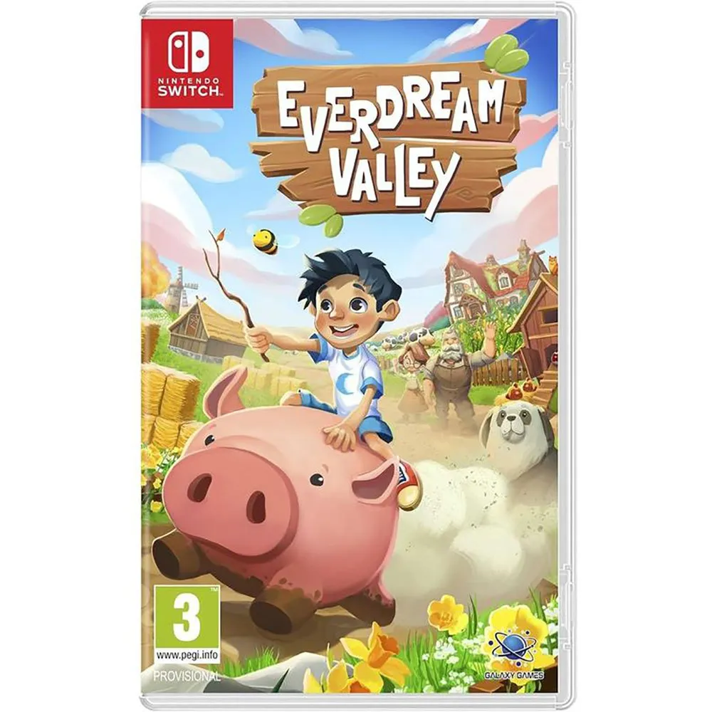 Nintendo Games Switch Everdream Valley