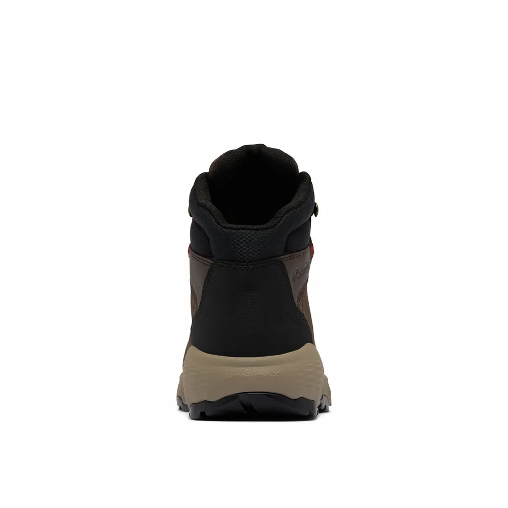 141251000_5.webp