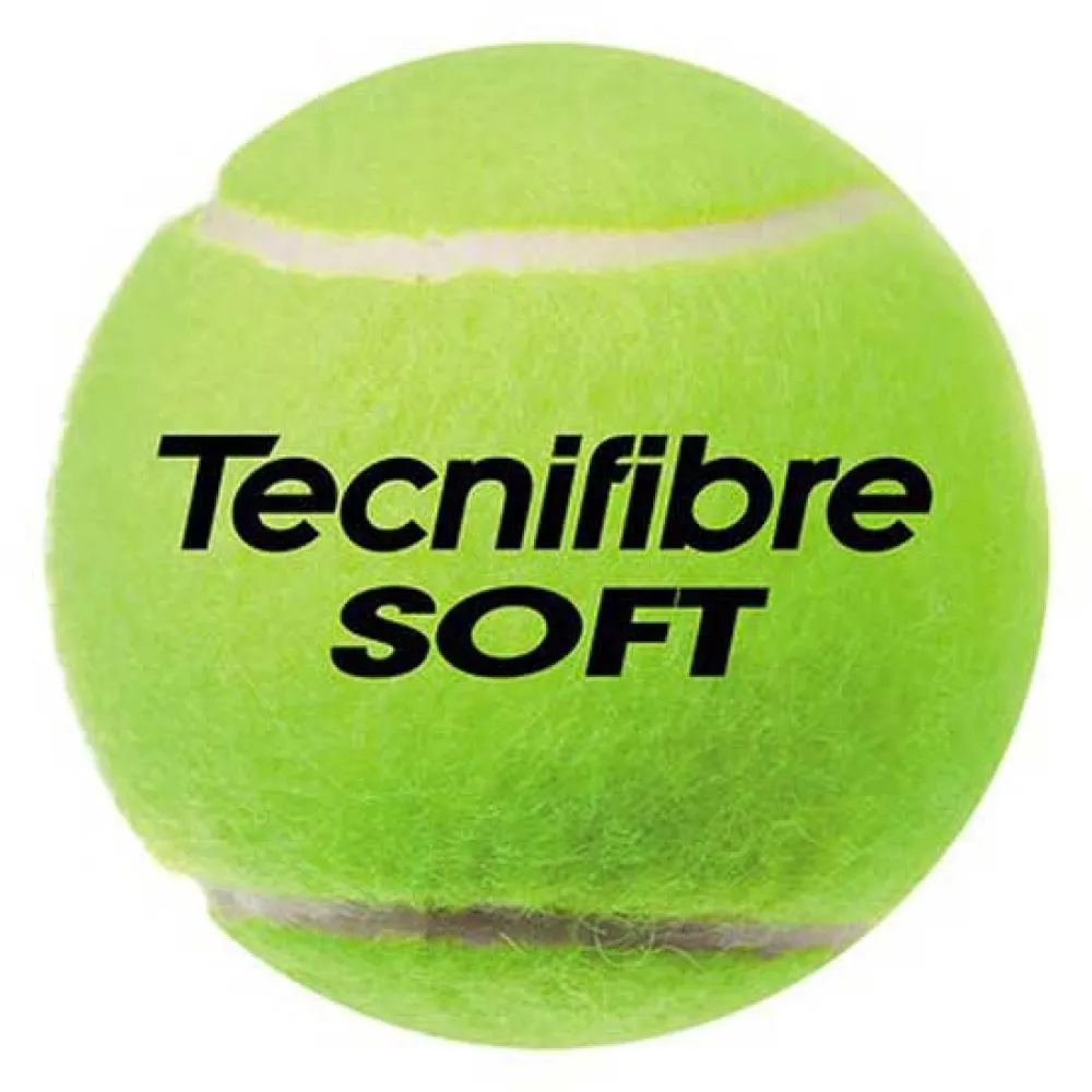 141384577.webp