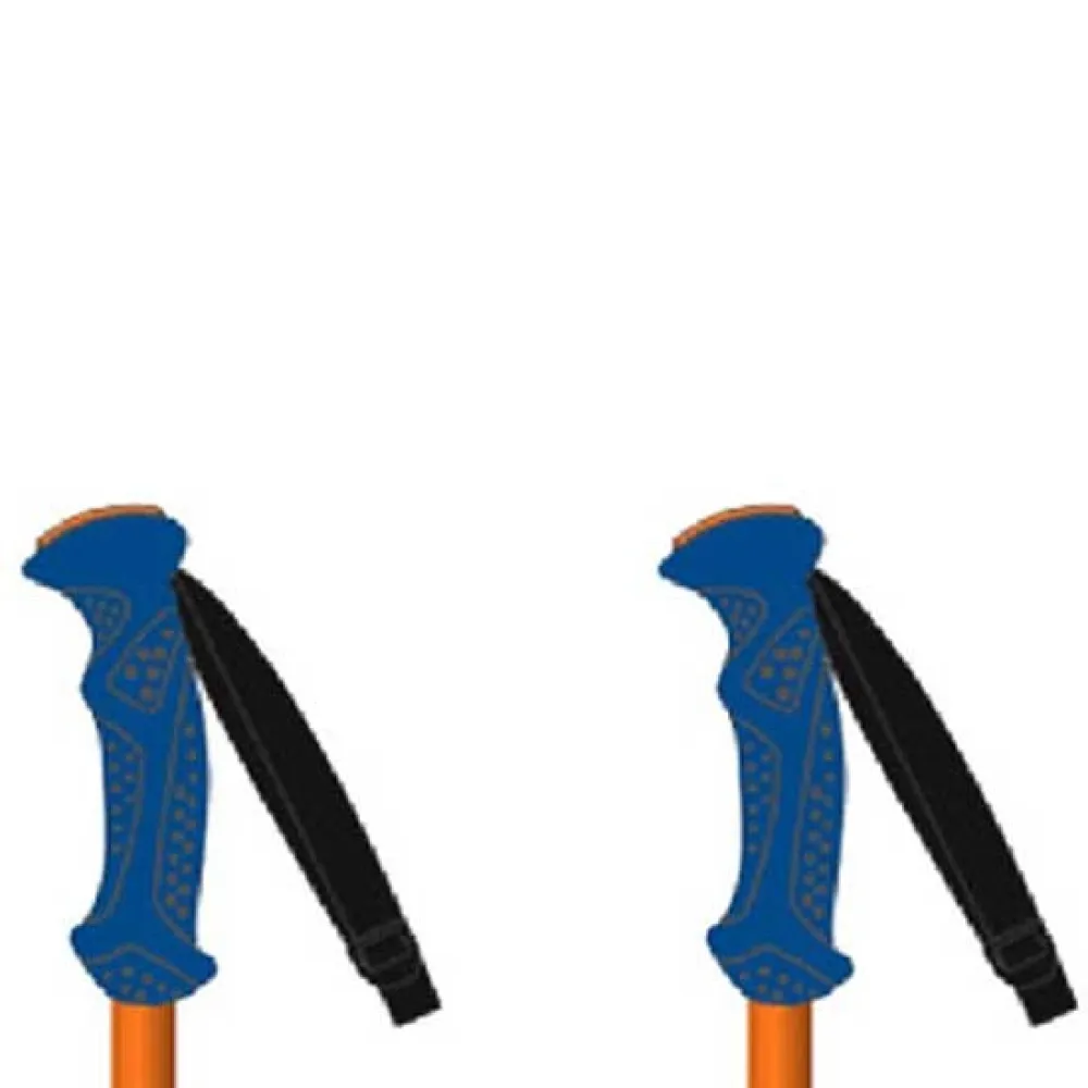 141470636_5.webp