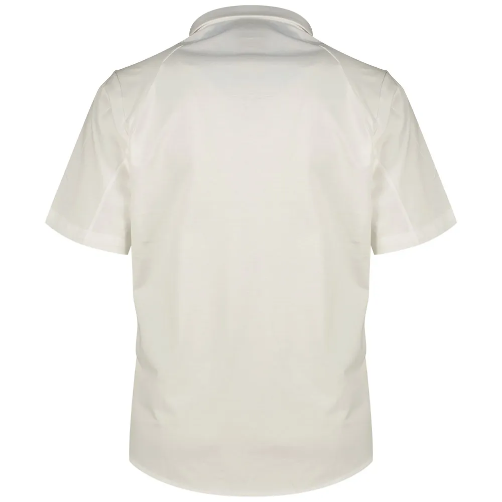 141499493_3.webp