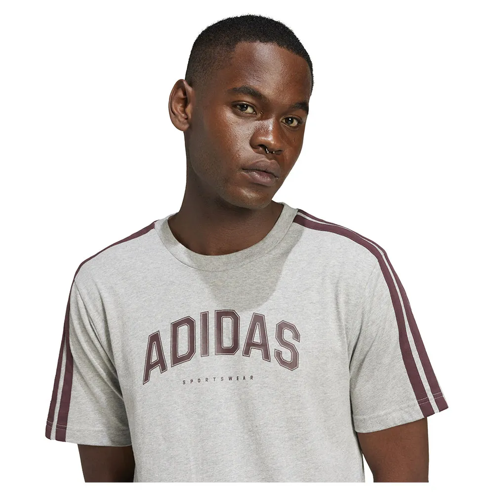 141515863_6.webp