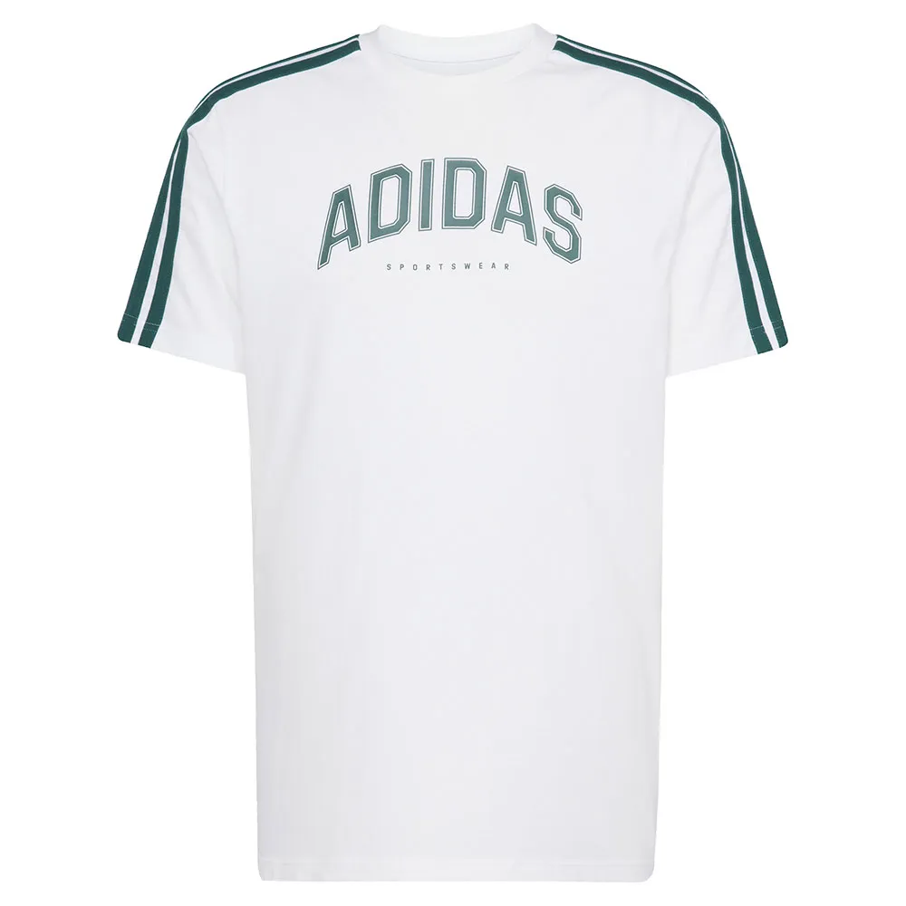 141515864_3.webp