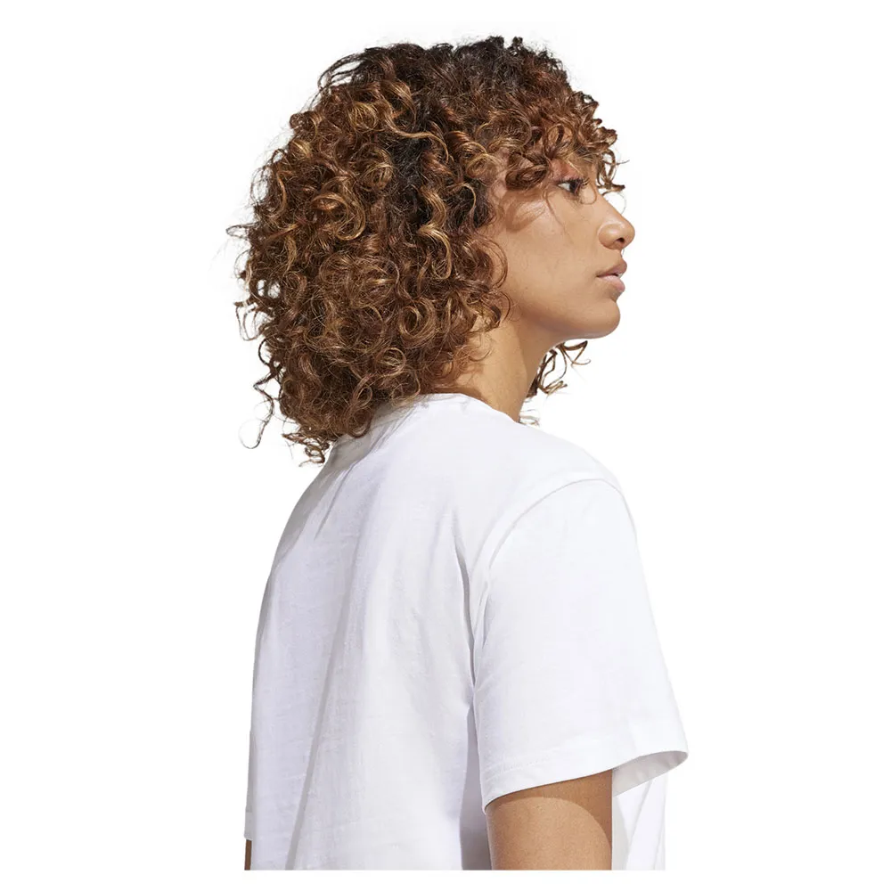 141516717_6.webp