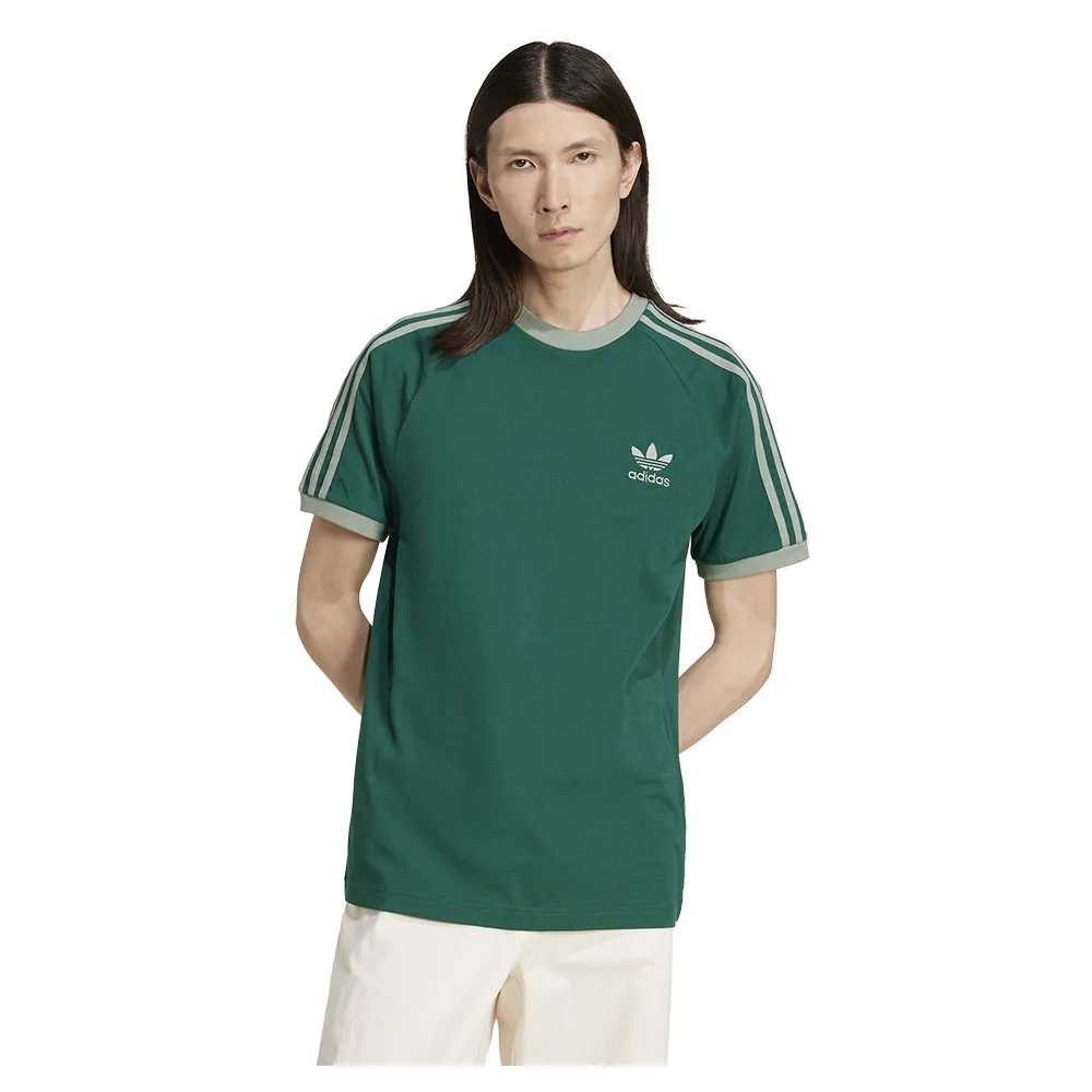 141517135.webp