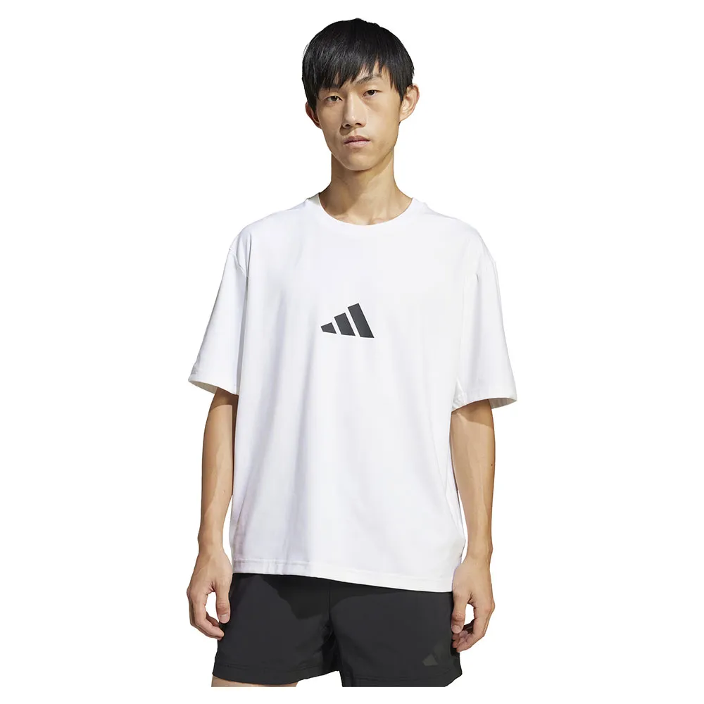 141517184.webp
