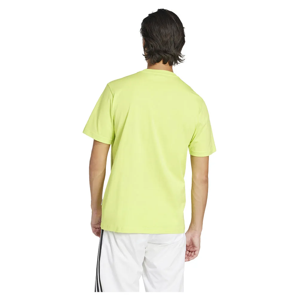 141517451_2.webp