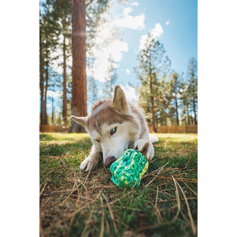 Ruffwear Morel™ Bitleksak