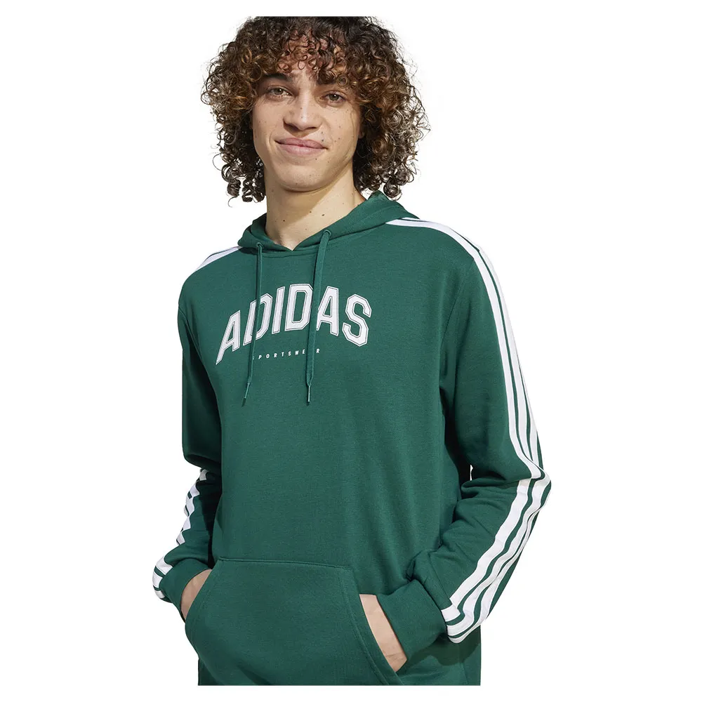 141541350.webp