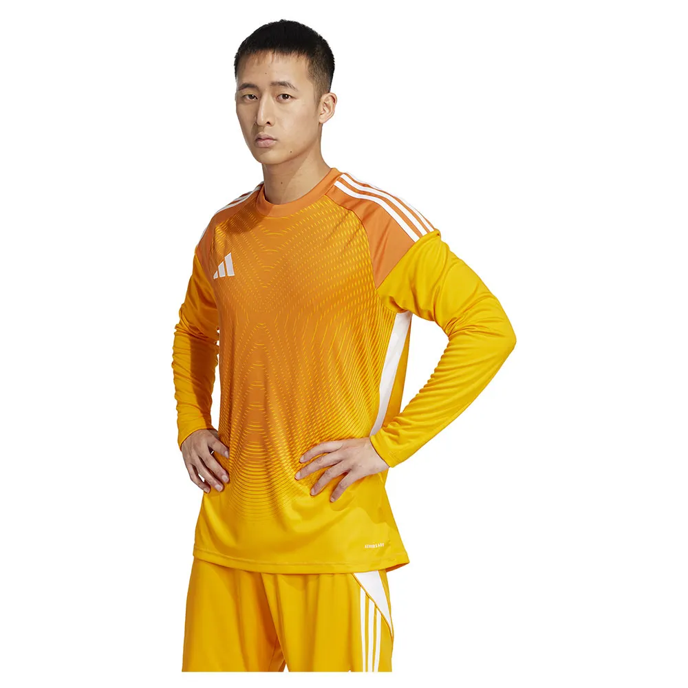 141585700.webp