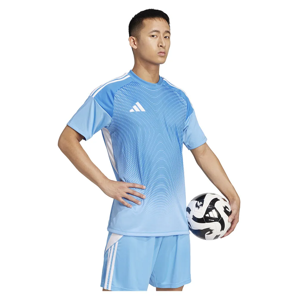 141585714_5.webp