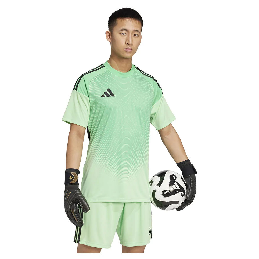 141585719_5.webp