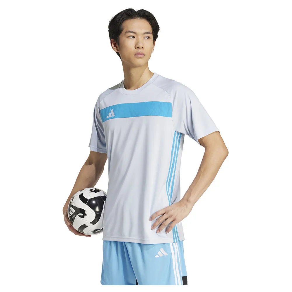 141585731.webp