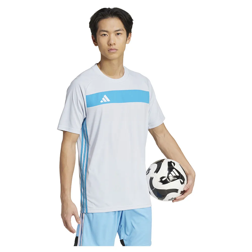141585731_5.webp