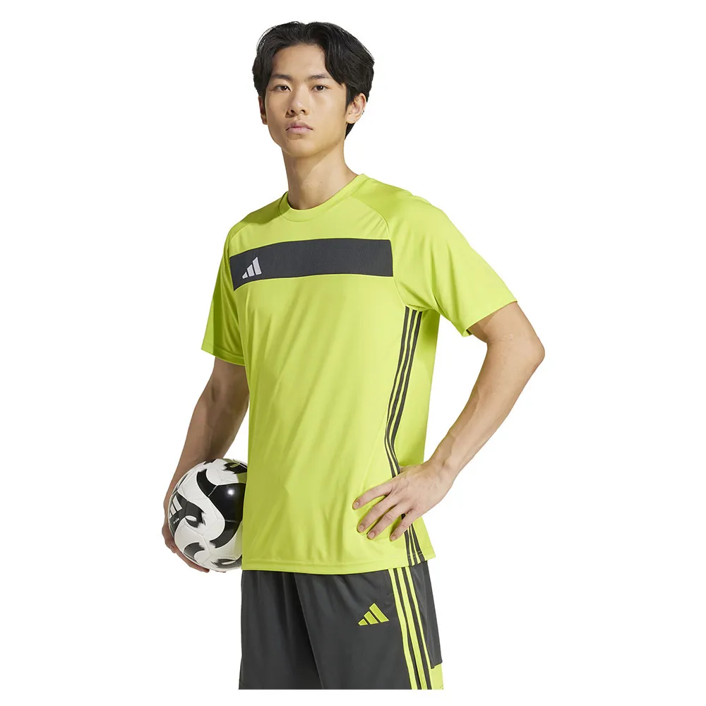 141585736.webp