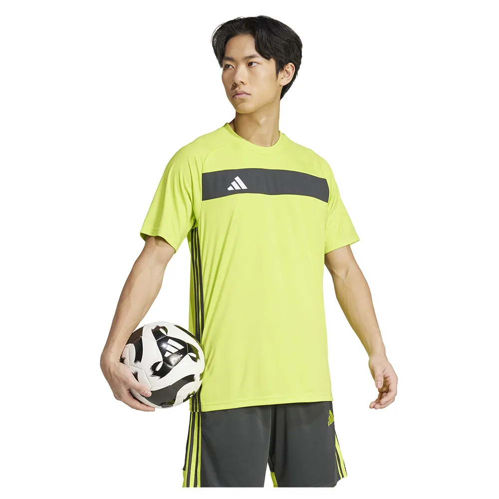 141585736_5.webp
