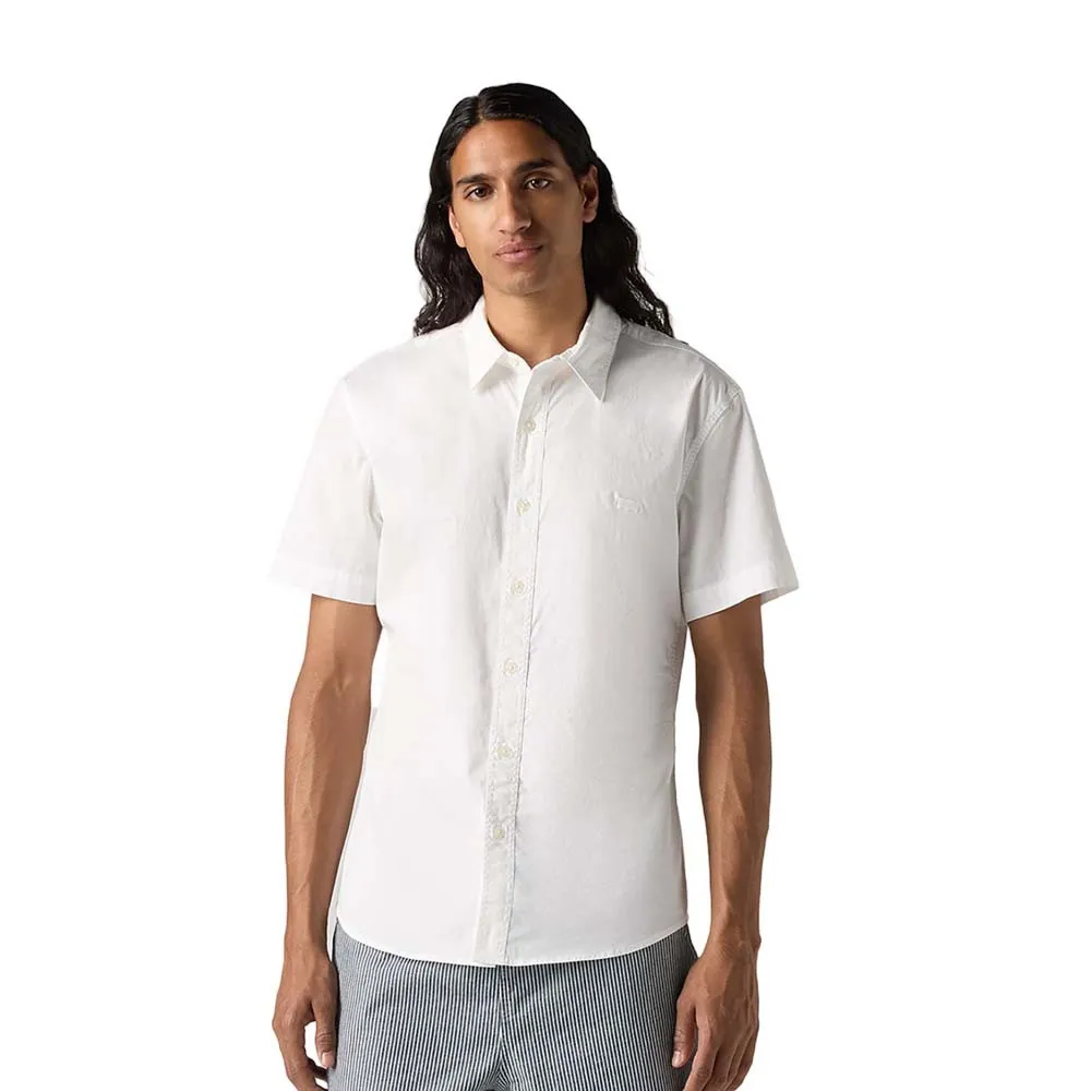 141606882.webp