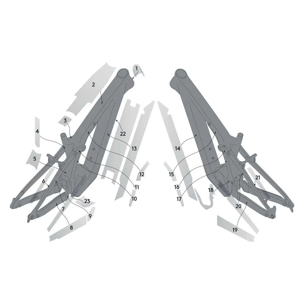 141631679.webp