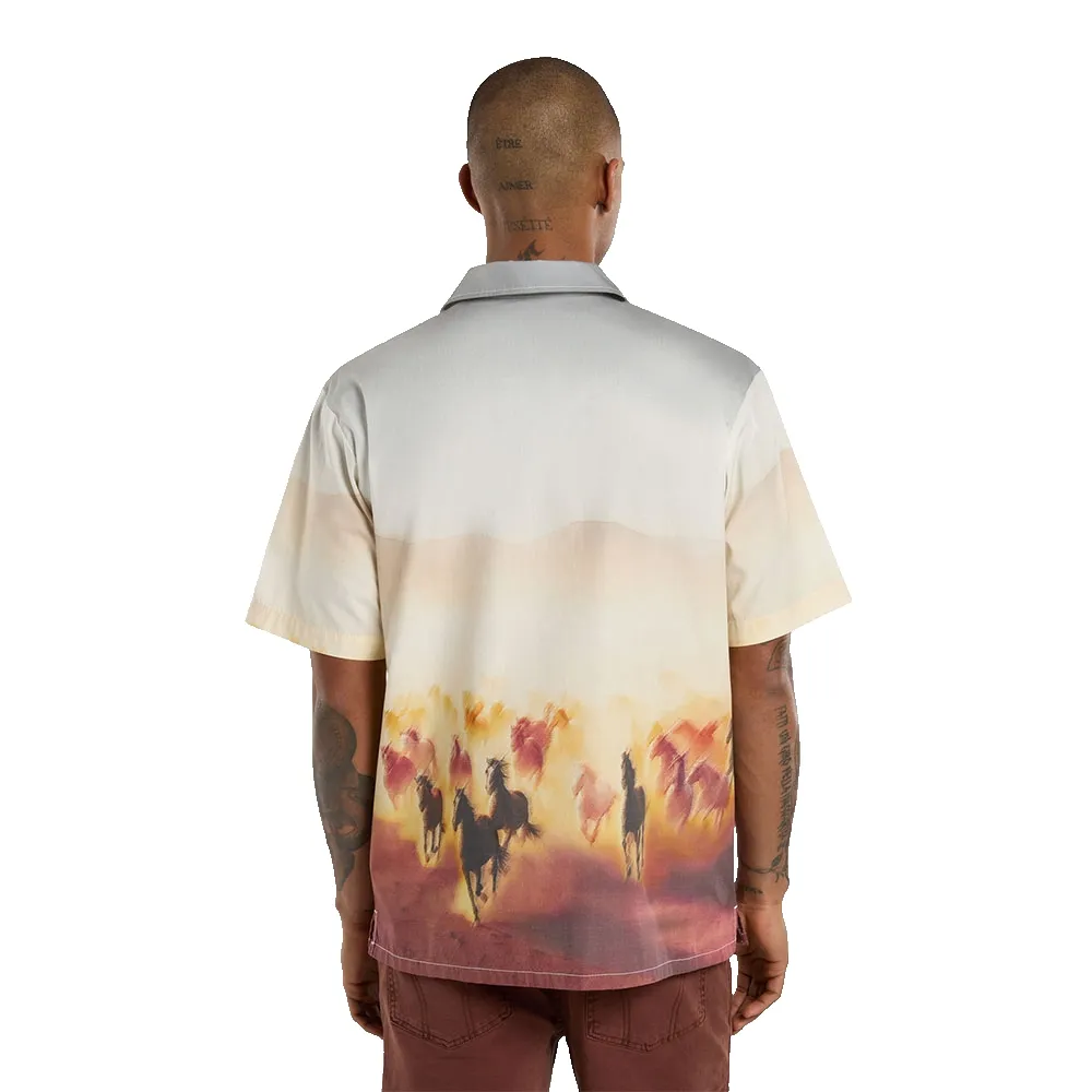 141657550_2.webp