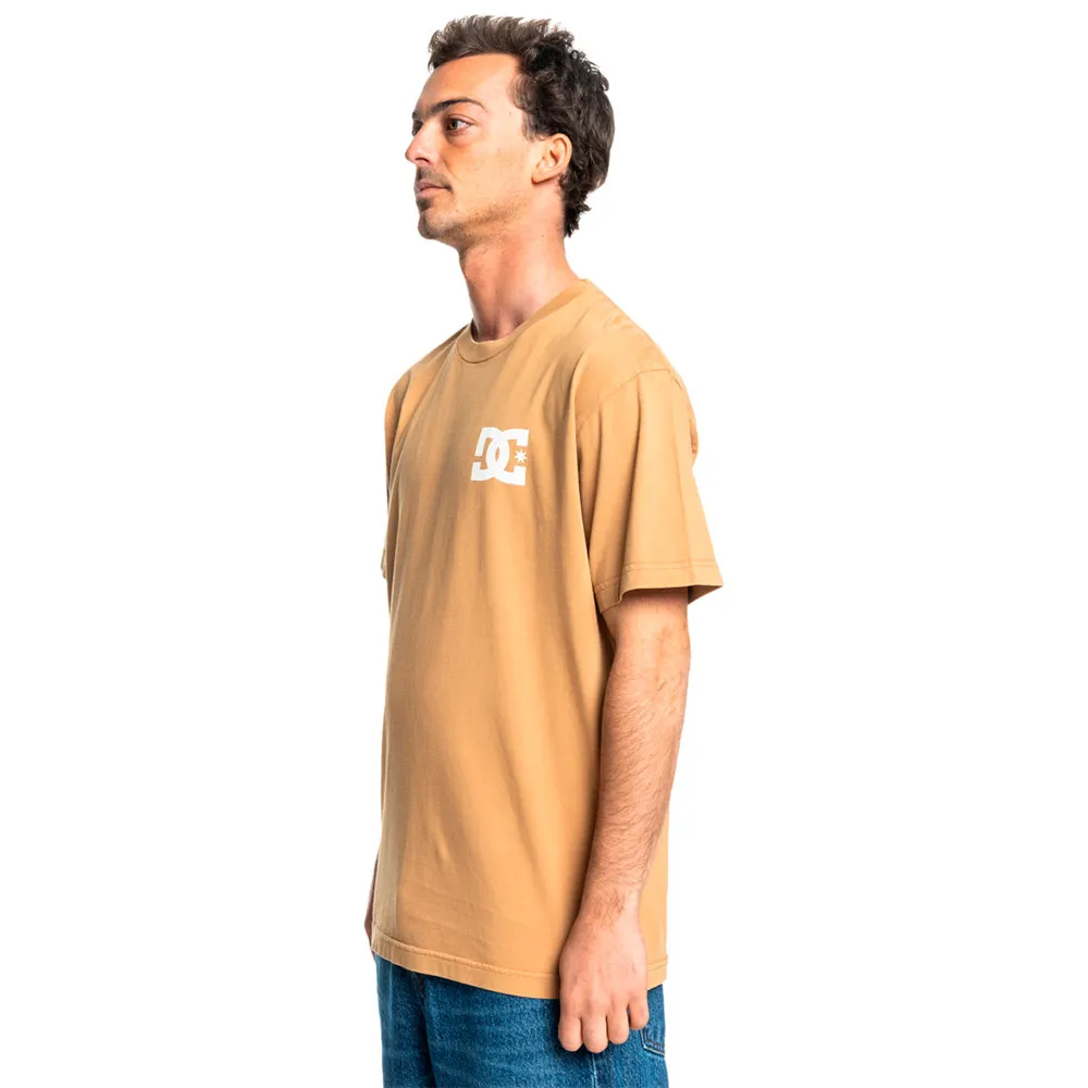 141658577_5.webp