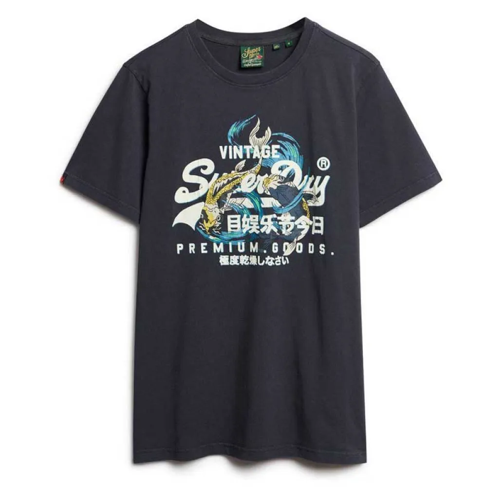 141663817.webp