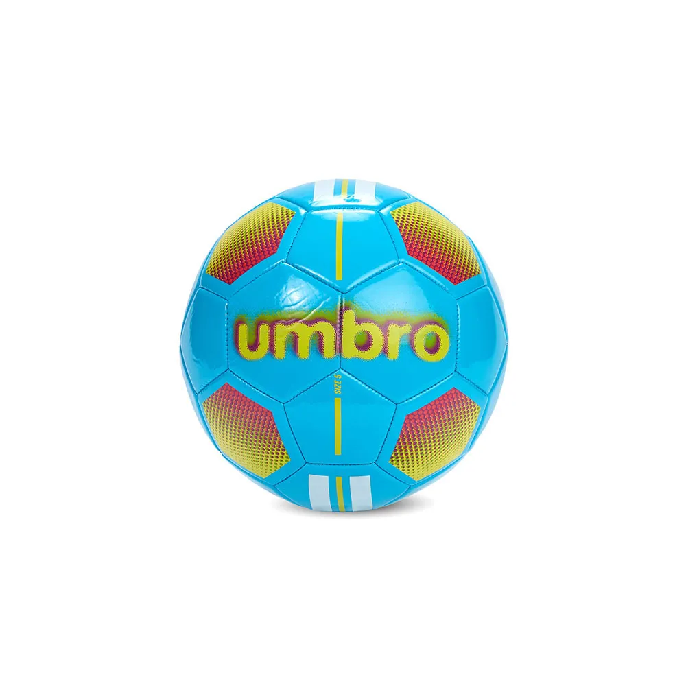 141752001.webp