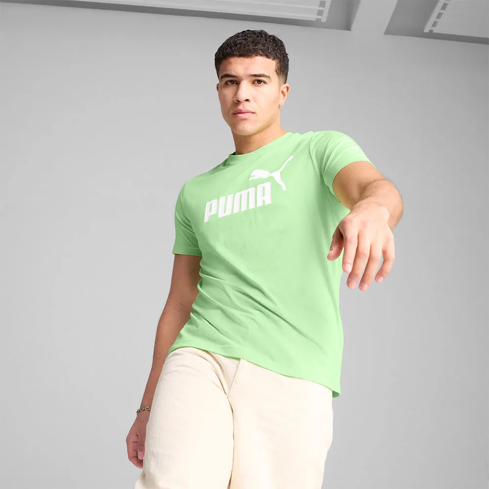 141757715_3.webp
