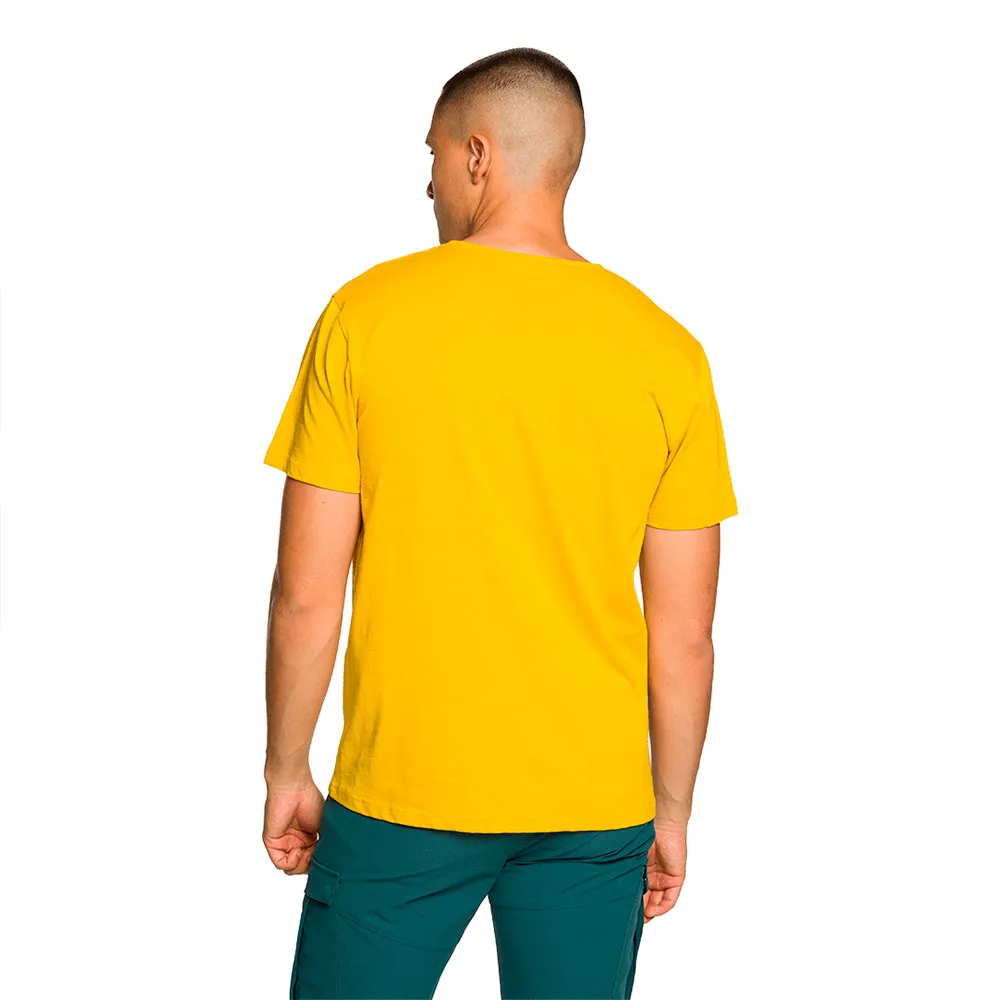 141759393_2.webp