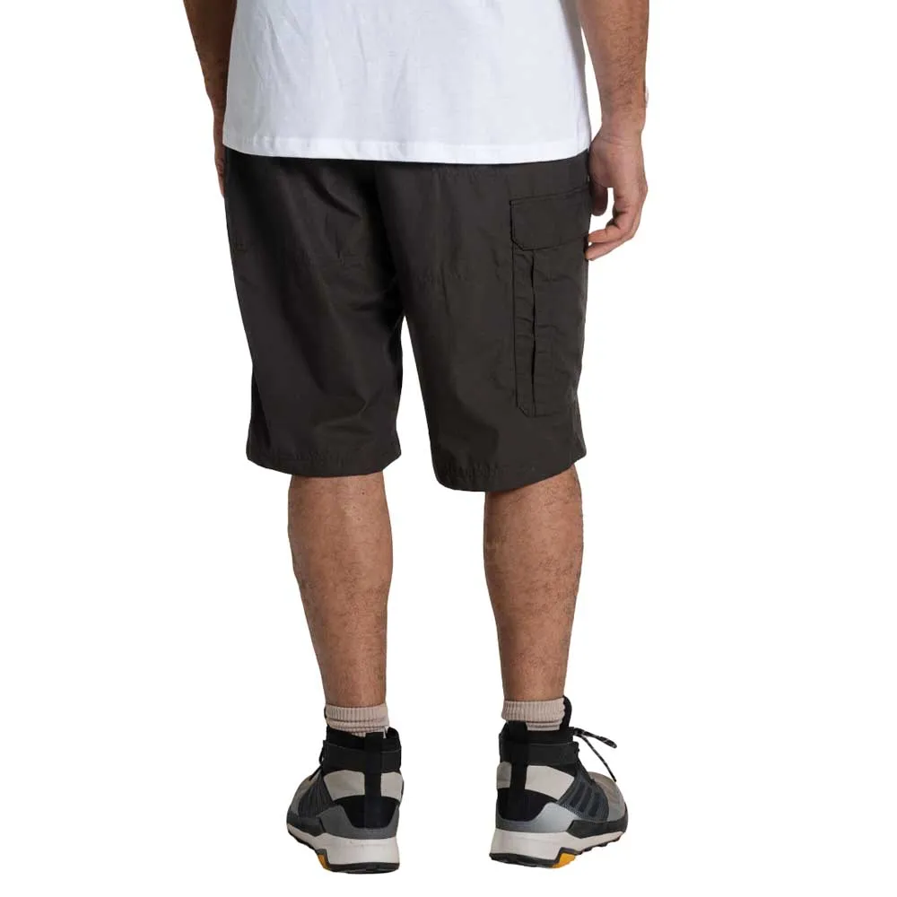 141766789_2.webp